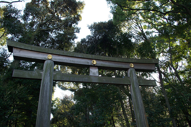 神社の門のフリー写真素材