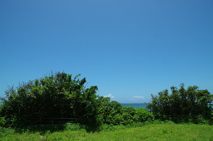 沖縄の自然と空のフリー写真素材