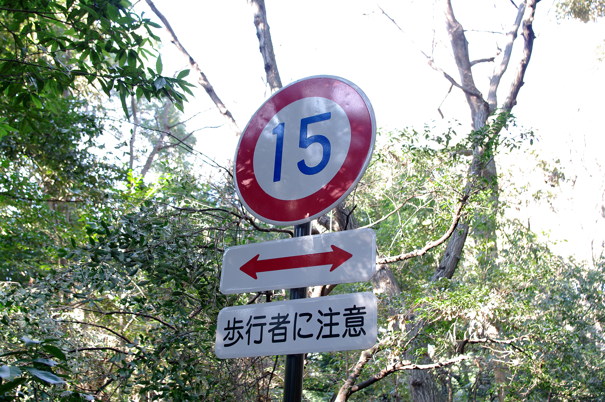 【極希少・レア】名古屋市交通局　速度制限標識