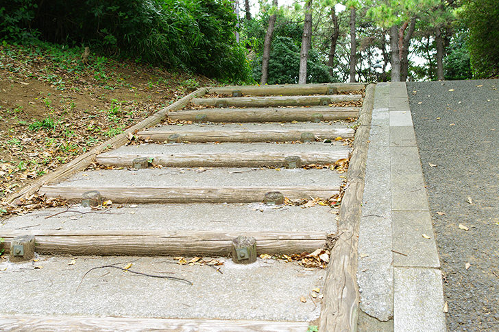 石階段（葛西臨海公園）のフリー写真素材