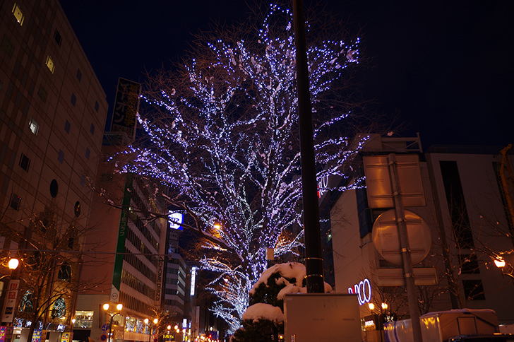 イルミネーション(札幌大通)のフリー写真素材
