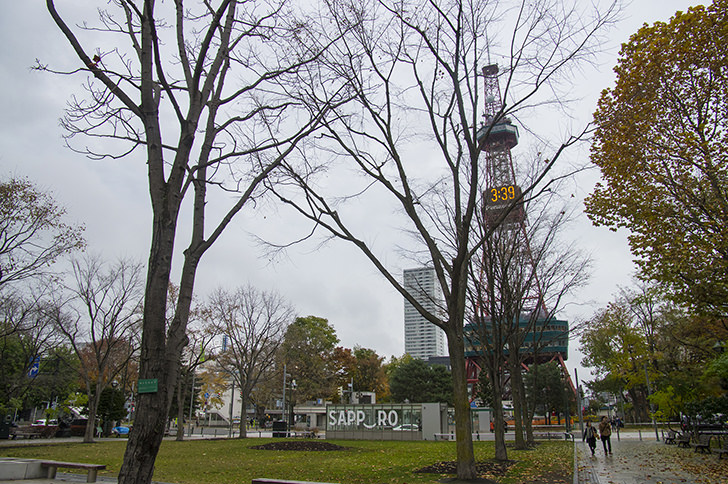 大通公園とテレビ塔のフリー写真素材