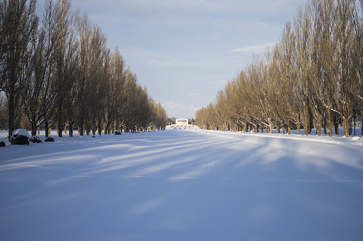 冬の前田森林公園の商用利用可フリー写真素材4040 フォトック