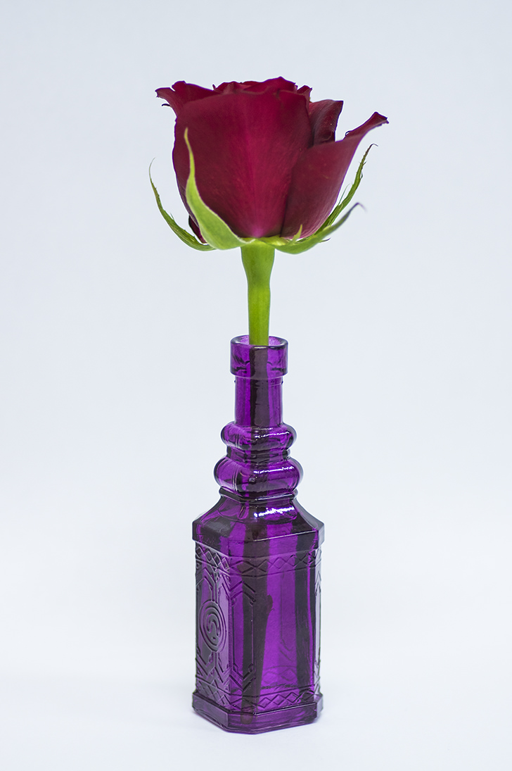 花瓶に入ったバラの商用利用可フリー写真素材4084 フォトック