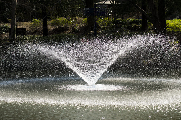 噴水のフリー写真素材Jet of watera fountain Free Photo / 喷泉 免费照片素材