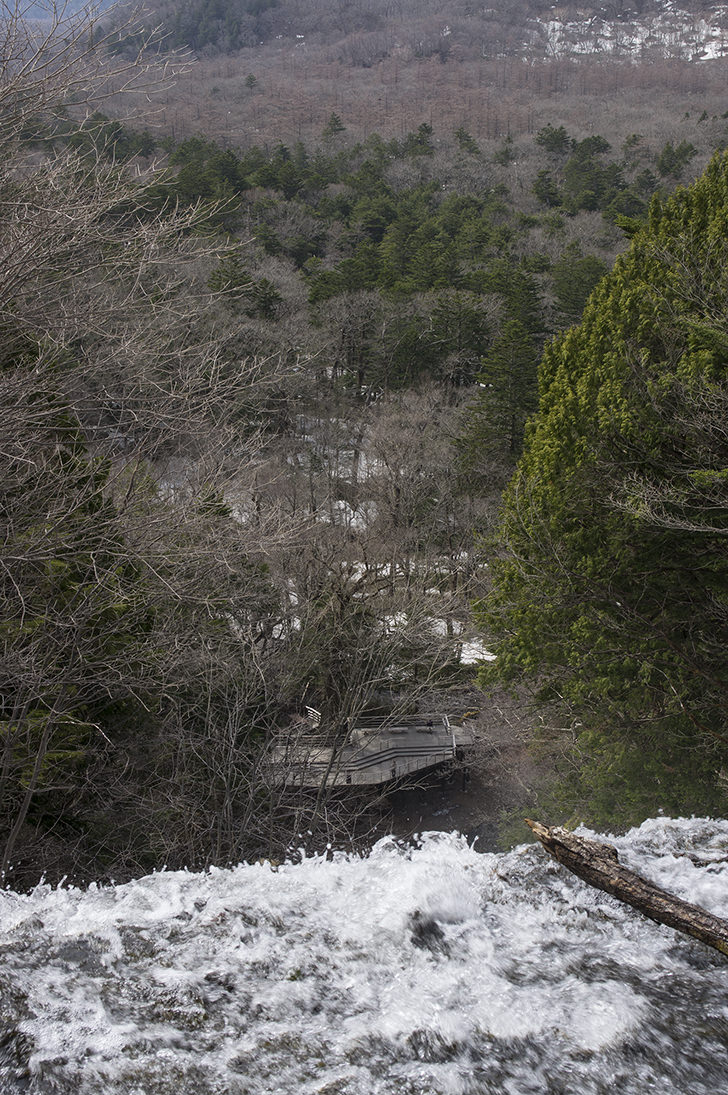 湯滝から見える戦場ヶ原のフリー写真素材