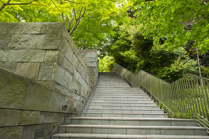 公園の階段のフリー写真素材