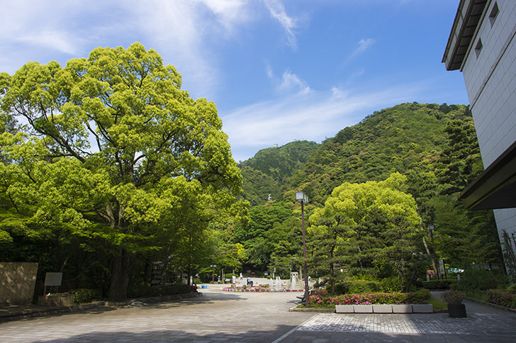 岐阜公園のフリー写真素材