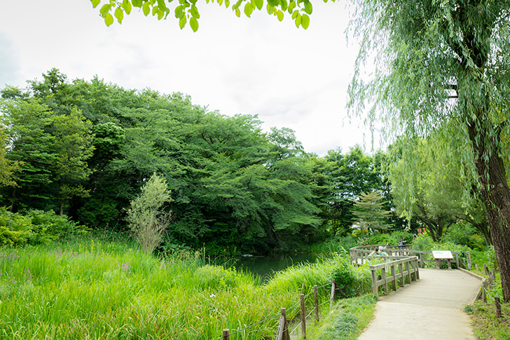 姿見の池のフリー写真素材