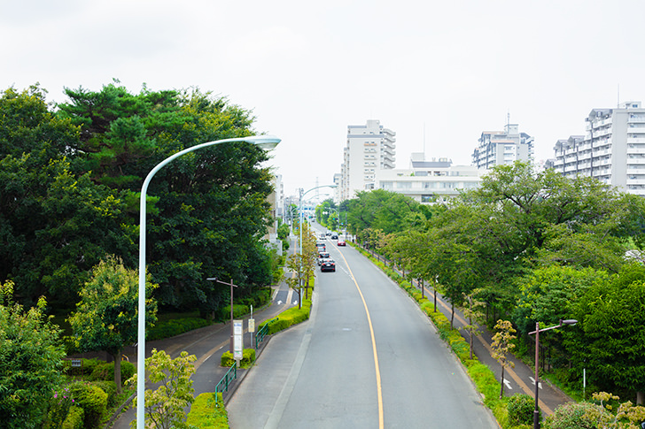 免费照片素材 Free Photo
