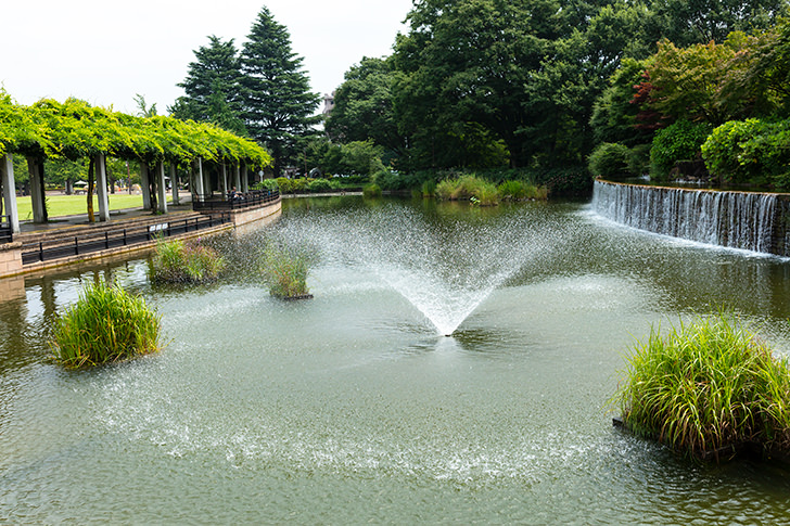 噴水のフリー写真素材