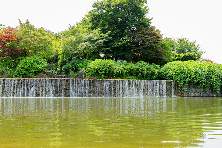 池のフリー写真素材