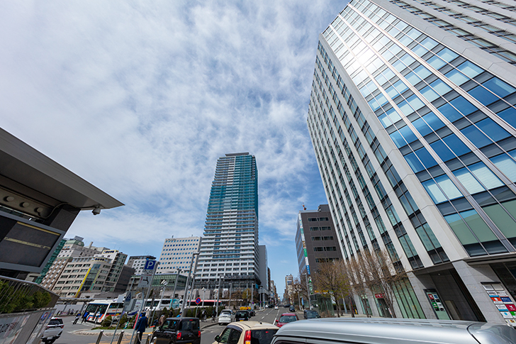 免费照片素材 Free Photo