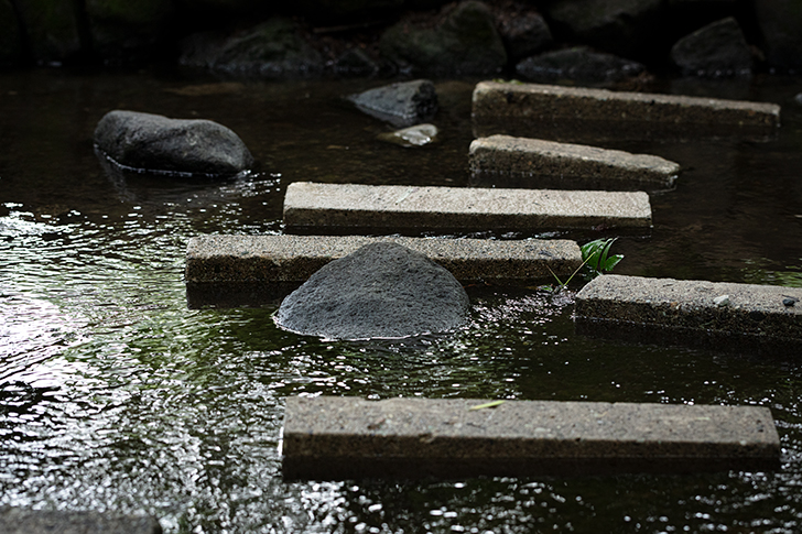 飛石のフリー写真素材