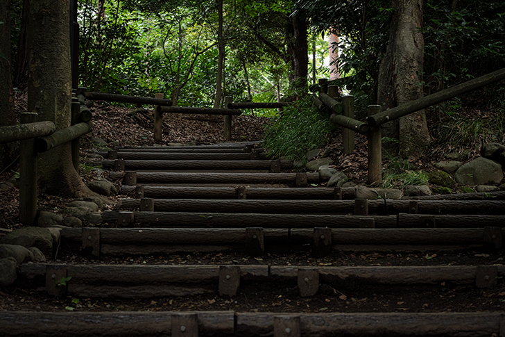 木の階段のフリー写真素材