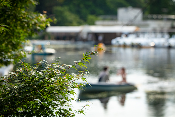 井の頭公園のフリー写真素材