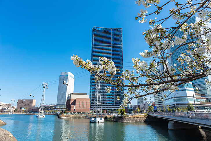 横浜と桜のフリー写真素材