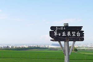 羊ヶ丘展望台から見える札幌方面のフリー写真素材