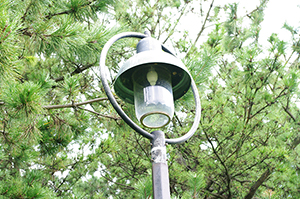 電灯（葛西臨海公園）のフリー写真素材