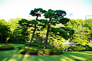 二の丸庭園（皇居）のフリー写真素材