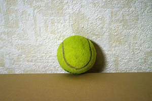 テニスボールのフリー写真素材