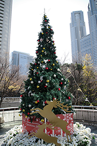 クリスマスツリーのフリー写真素材