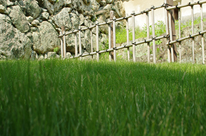 芝生と石垣のフリー写真素材