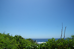 沖縄の海のフリー写真素材