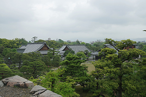 二条城から見た京都の自然のフリー写真素材