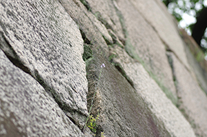 二条城-石垣のフリー写真素材