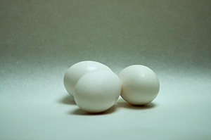 卵のフリー写真素材