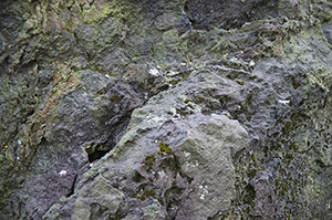 岩のフリー写真素材