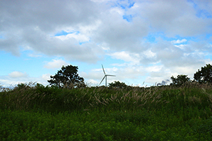 自然と風車のフリー写真素材