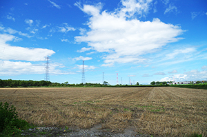 畑と青空のフリー写真素材