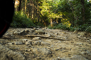 筑波山の山道のフリー写真素材