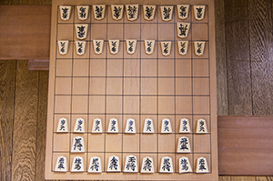 将棋盤と駒のフリー写真素材