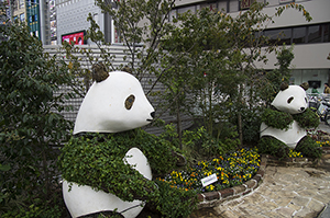 上野のパンダ像のフリー写真素材