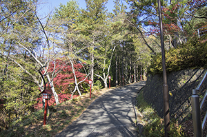 新倉山浅間公園のフリー写真素材