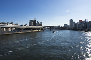 両国橋から見る隅田川のフリー写真素材