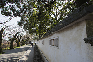小田原城の塀のフリー写真素材