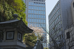 日枝神社のフリー写真素材