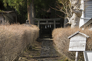 青龍神社のフリー写真素材