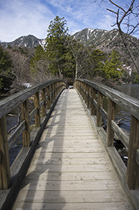木の橋のフリー写真素材