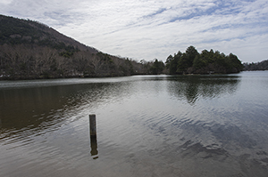 湯ノ湖の湖畔のフリー写真素材