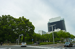 名古屋の錦通のフリー写真素材
