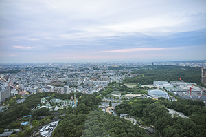 東山スカイタワーからの名古屋の景色のフリー写真素材