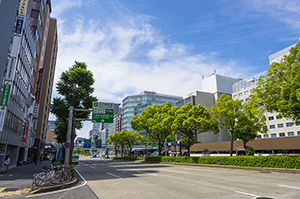 名古屋丸の内付近伏見通りのフリー写真素材