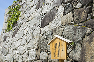名古屋城の清正石のフリー写真素材