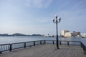 ヴェルニー公園から見える横須賀港のフリー写真素材