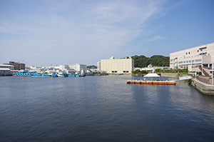 横須賀港のフリー写真素材